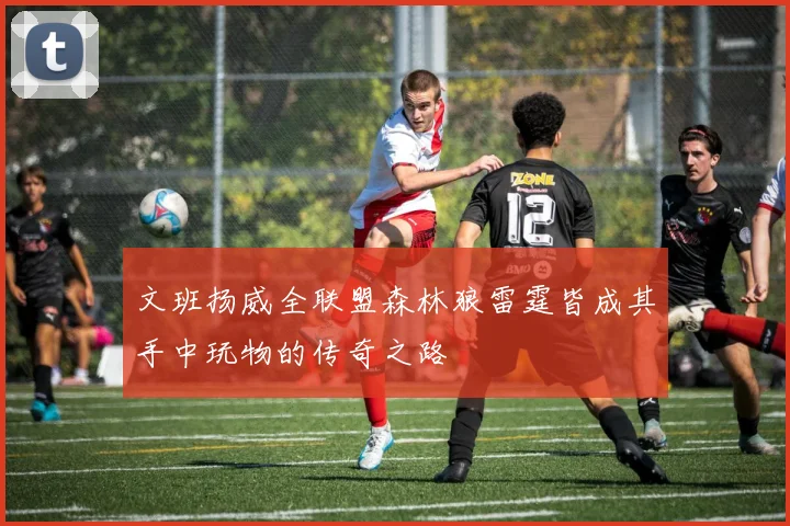 文班扬威全联盟森林狼雷霆皆成其手中玩物的传奇之路